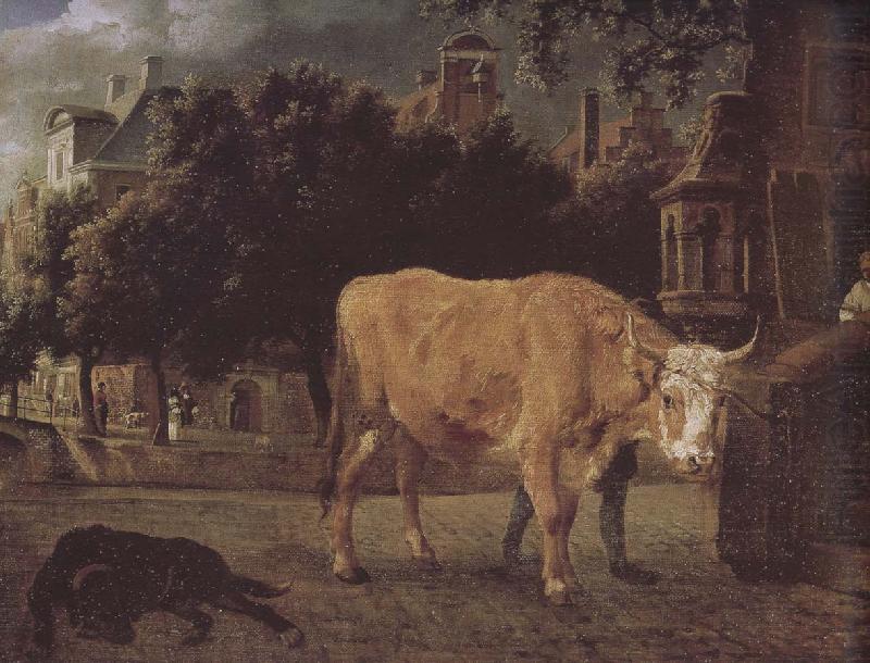 Jan van der Heyden Square cattle china oil painting image